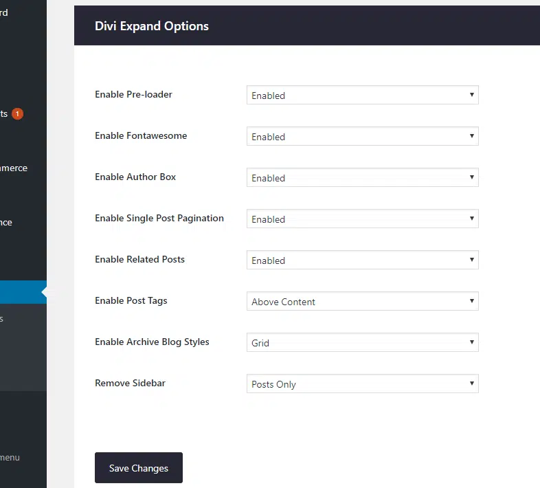 Darmowe wtyczki WordPress Divi