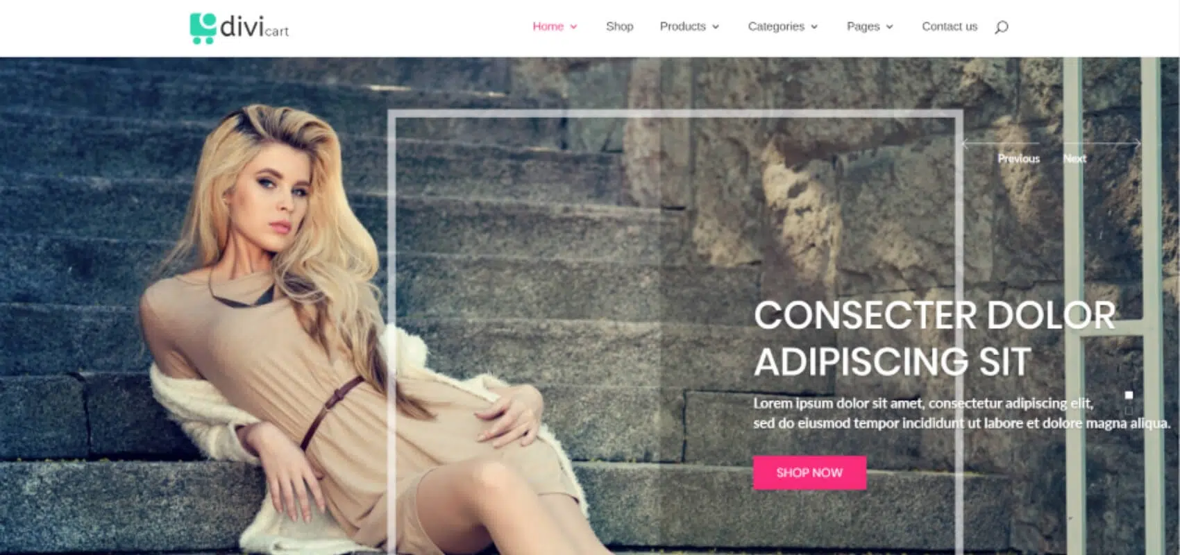Motywy Divi WooCommerce Motywy Divi WooCommerce