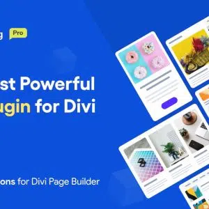 Divi Den Pro