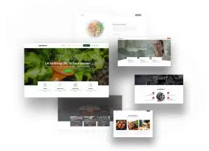Divi Pixel