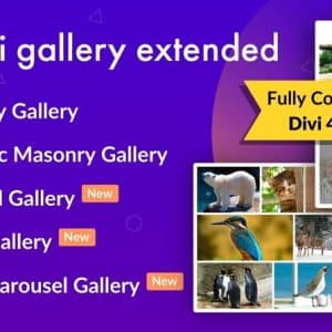 Divi Gallery Extended — wtyczka galerii dla Divi