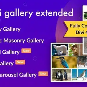 Divi Gallery Extended – Zaawansowana Galeria dla Divi