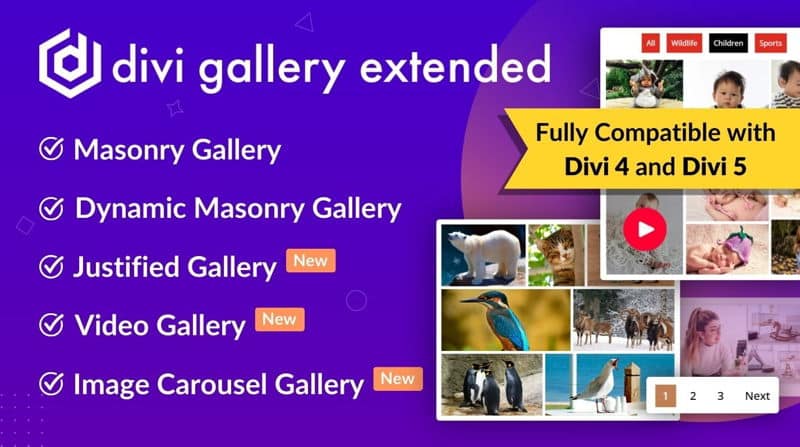 Divi Gallery Extended – Zaawansowana Galeria dla Divi