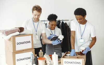 Strona fundacji ngo divi