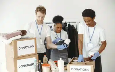 Strona fundacji ngo divi
