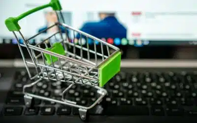 Strona sklepu omnichannel divi
