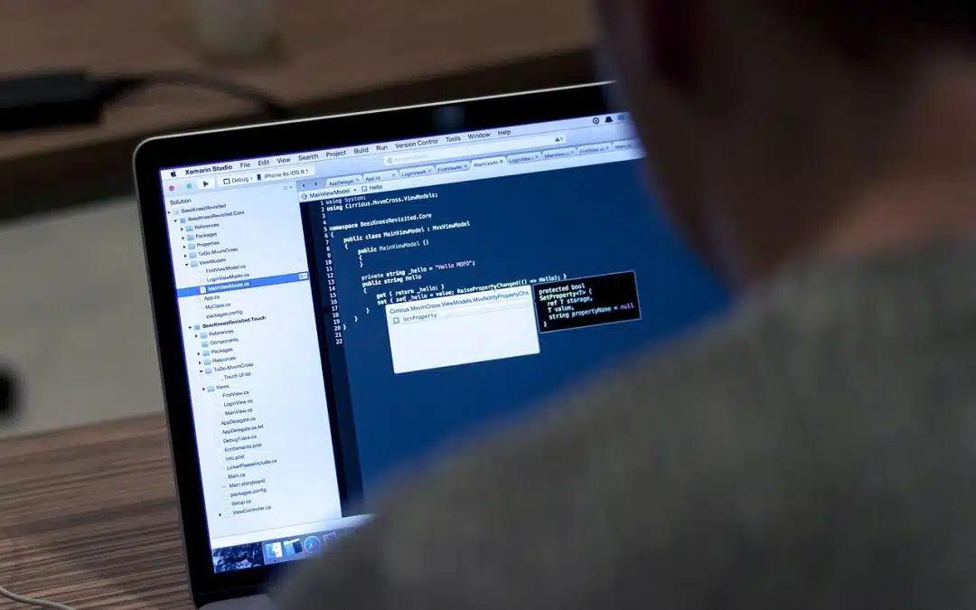 Programista sprawdza kod strony internetowej na laptopie — walidacja W3C